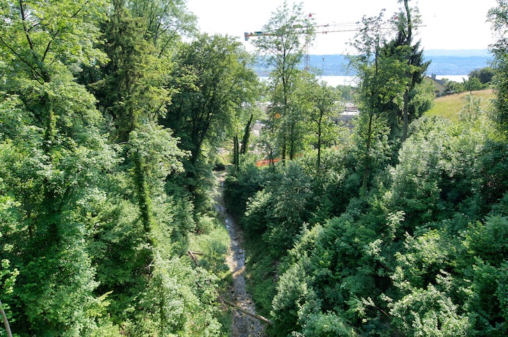 WAVO  2012-05-30 006